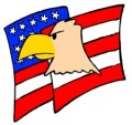 Flag_-_USA_5